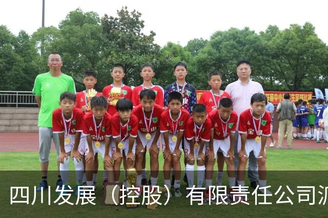 四川发展（控股）有限责任公司派驻出资企业专职董事朱全芳接受审查调查